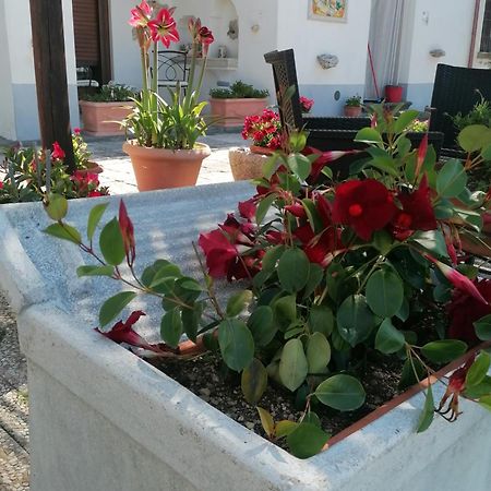 Il Casale Del Generale Panzió Agerola Kültér fotó