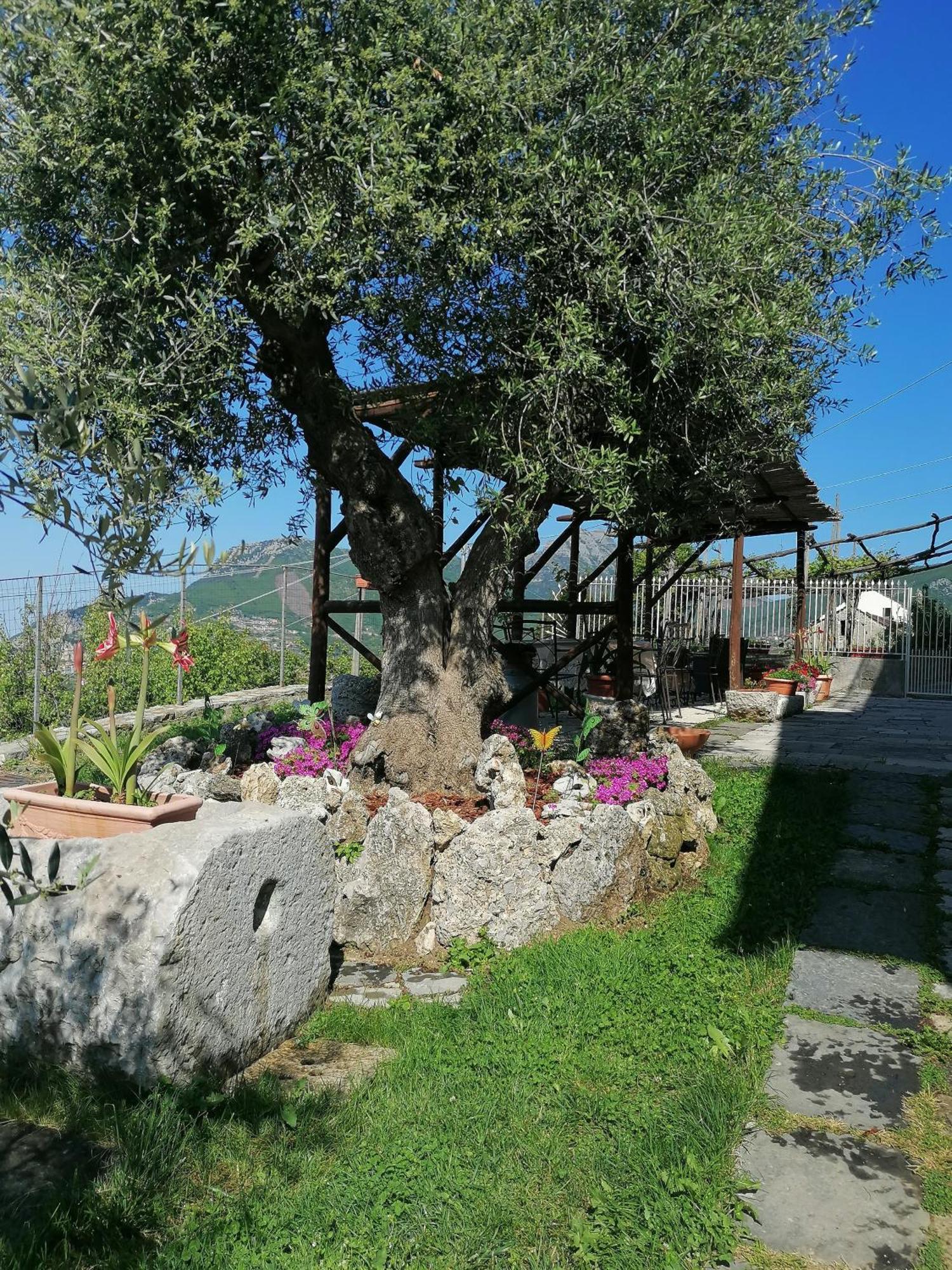 Il Casale Del Generale Panzió Agerola Kültér fotó